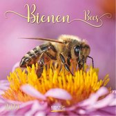 Kalender 2020 Bijen (30 x 30)