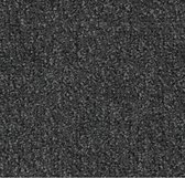 Forbo Coral Classic standaard mat - 4721, 205x300 cm