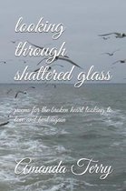 Looking Through Shattered Glass