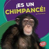 !es Un Chimpance! (It's a Chimpanzee!)