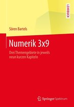 Springer-Lehrbuch - Numerik 3x9