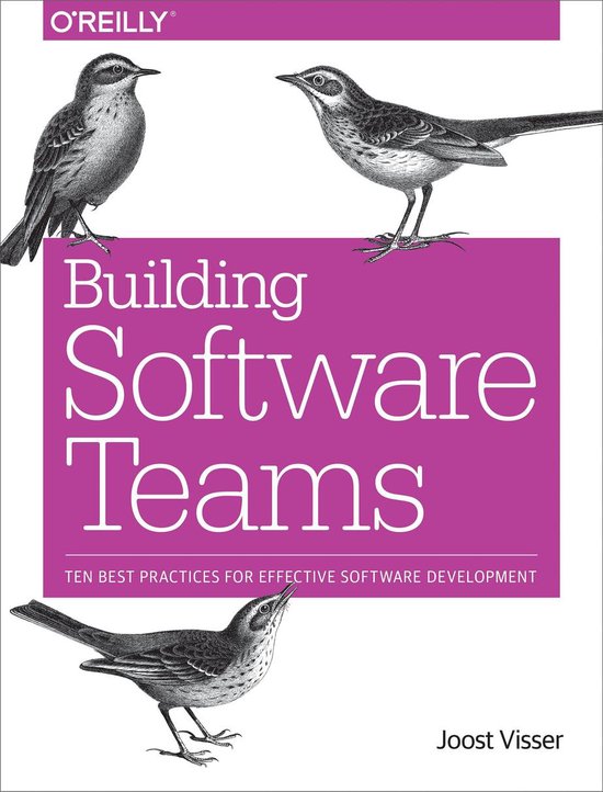 Building Software Teams - cover