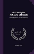 The Geological Antiquity of Insects