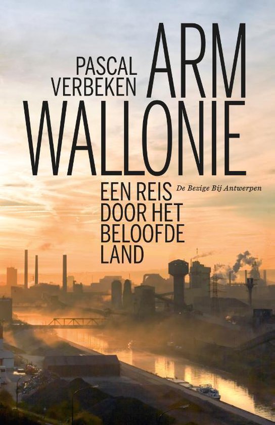 Cover van het boek 'Arm Wallonie'