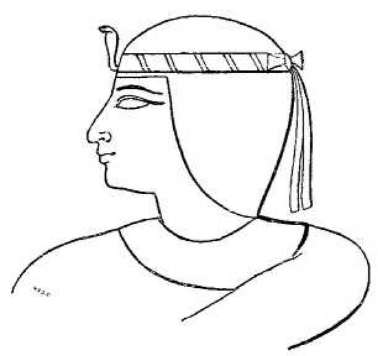 History of Ancient Egypt - cover