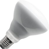 SPL LED Filament Reflector R95 - 6,5W / DIMBAAR