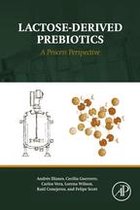 Lactose-Derived Prebiotics: A Process Perspective