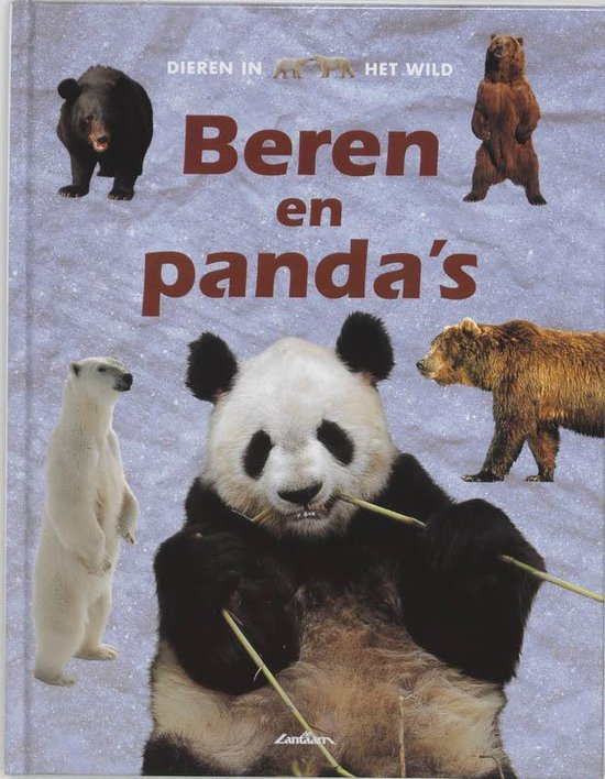 Cover van het boek 'Beren en panda's' van M. Bright