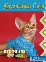 Eye to Eye with Cats - Abyssinian Cats