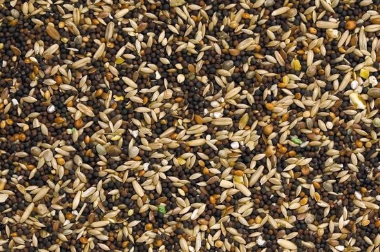 Deli Nature kanariezaad standaard, een mix van diverse zaden en granen.