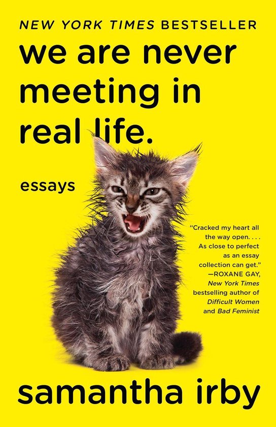 We Are Never Meeting in Real Life. - cover