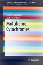 SpringerBriefs in Molecular Science - Multiheme Cytochromes