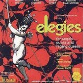 Elegies: for Angels Punks and Raging Queens