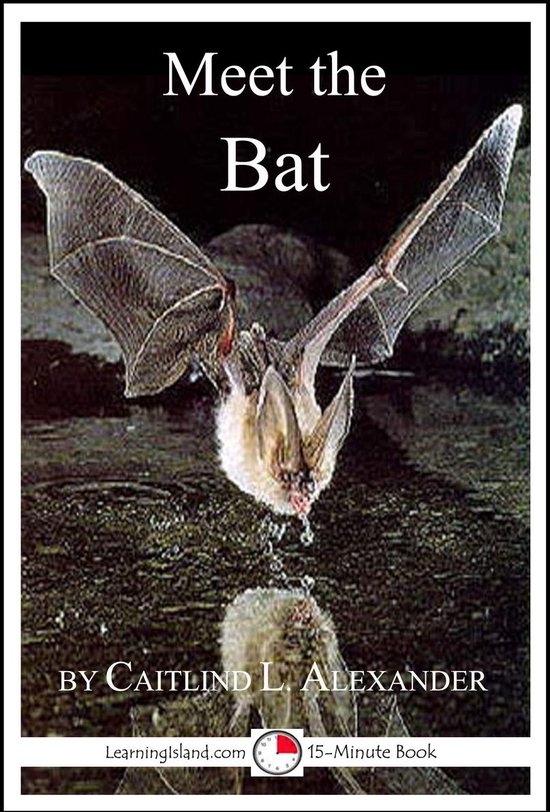 15-Minute Books 369 - Meet the Bat: A 15-Minute Book for Ear ... - cover
