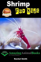 Amazing Animal Books for Young Readers - Shrimp For Kids
