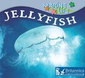 Marine Life - Jellyfish