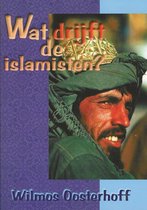 Wat drijft de islamisten?
