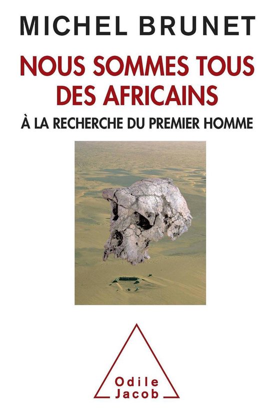 Nous sommes tous des Africains - cover