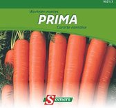 Somers zaden - Wortelen Nantes Prima - 30 gram