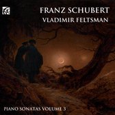 Vladimir Feltsman - Piano Sonatas Volume 3 (CD)