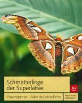 Schmetterlinge der Superlative
