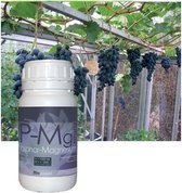 BioQuant, Foliar P-N-Mg 1 Liter