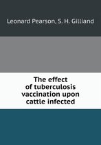 The effect of tuberculosis vaccination upon cattle infected