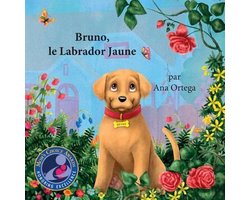 Bruno, the Yellow Lab- Bruno, le Labrador Jaune