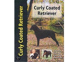 Curly Coated Retriever
