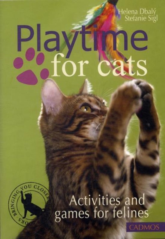 Playtime For Cats