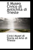 Il Museo Civico Di Antichit Di Trieste