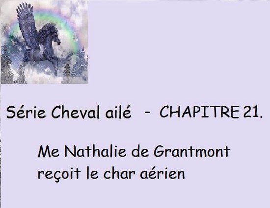 Chapitre 21 - Me Nathalie de Grantmont reçoit le char aérien