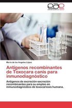 Antigenos Recombinantes de Toxocara Canis Para Inmunodiagnostico