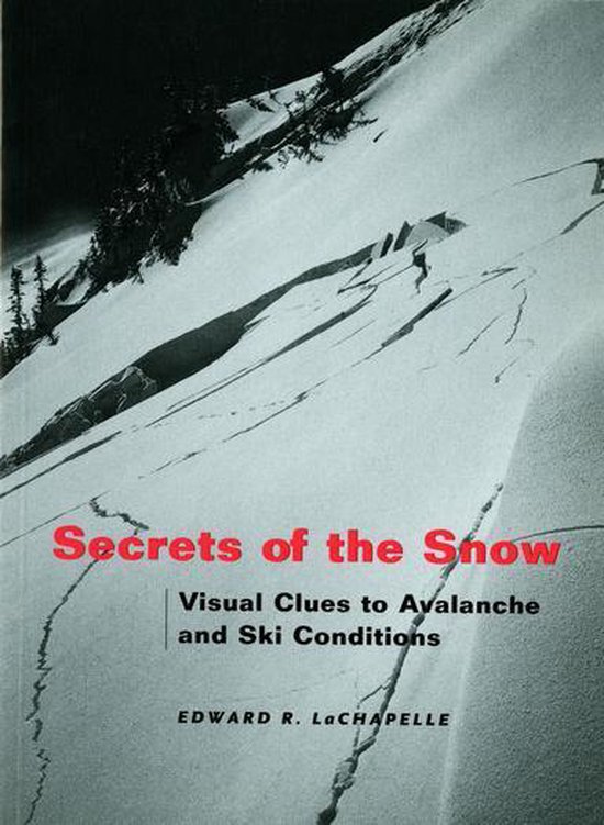 Secrets of the Snow - cover