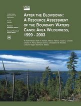 After the Blowdown