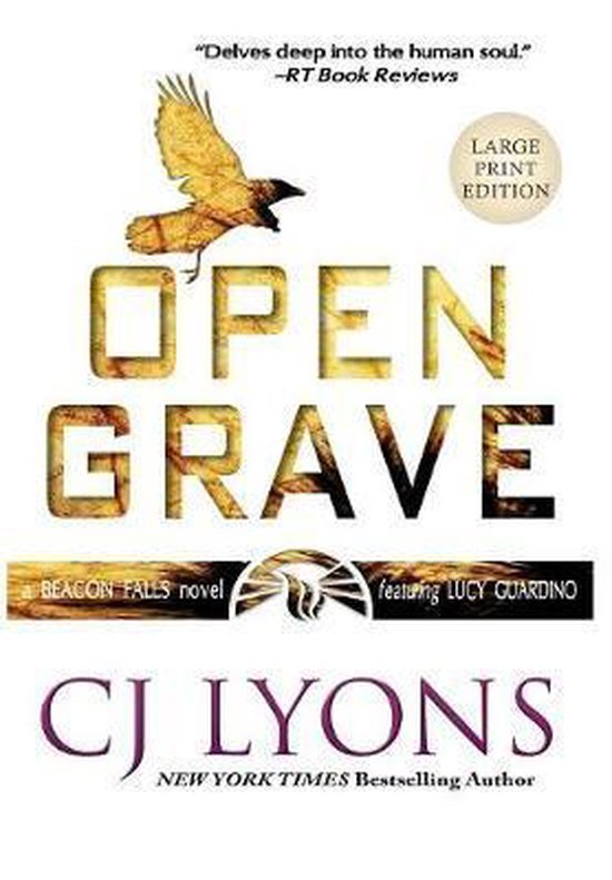 Beacon Falls Cold Case Mysteries- Open Grave - cover