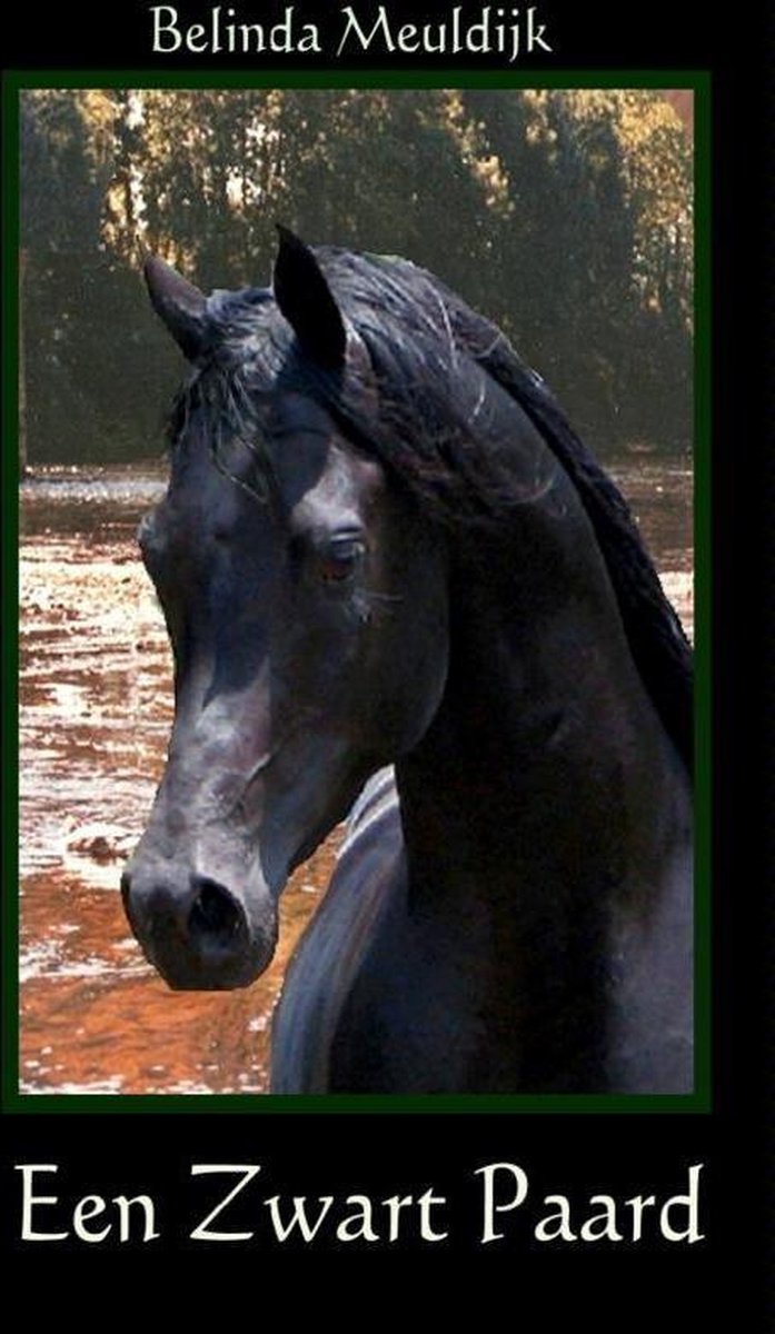 Aanvankelijk Jachtluipaard Vergadering Een zwart paard (ebook), Belinda Meuldijk | 9789402102093 | Boeken | bol.com