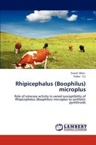 Rhipicephalus (Boophilus) microplus