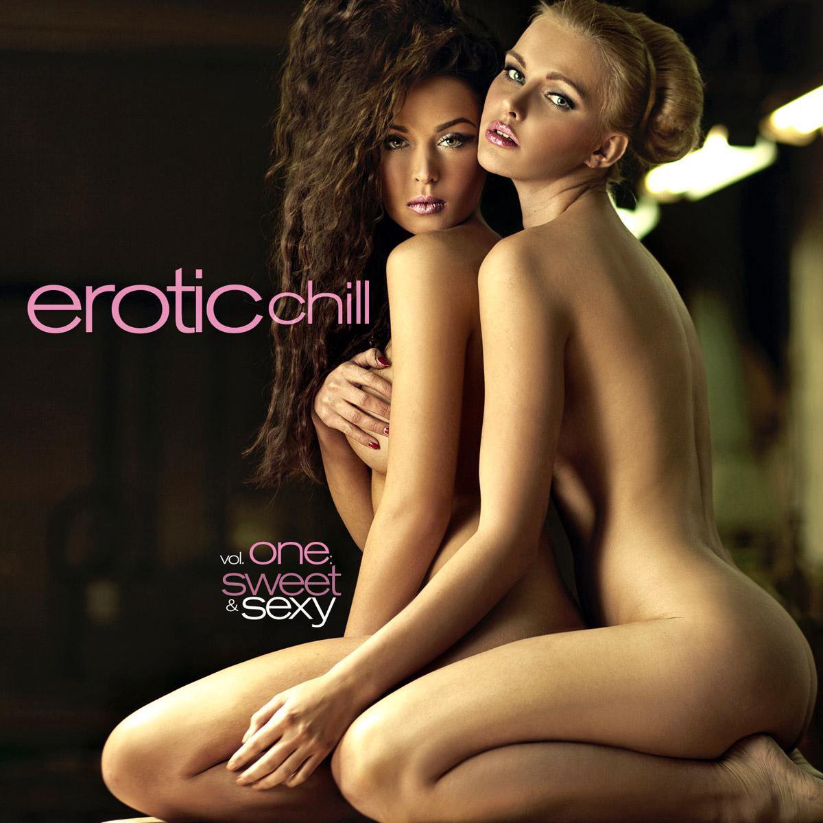 Erotic Chill, Vol. 1