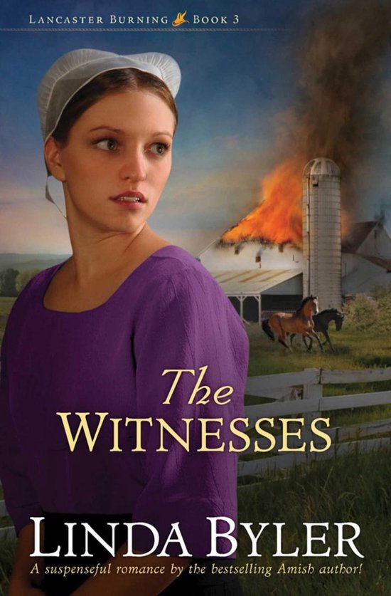 Lancaster Burning - The Witnesses
