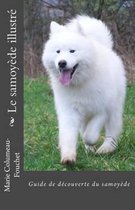 Le samoyede illustre