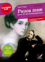Pauca meae (Livre IV des Contemplations)
