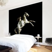 Vliesbehang 4 afmetingen Life of the Zebra 192*192 cm