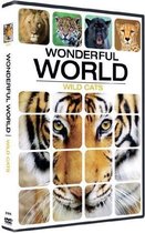 Wonderful World - Wild Cats