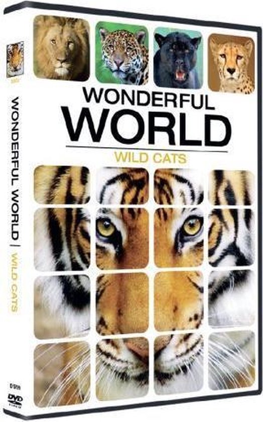 Cover van de film 'Wonderful World - Wild Cats'