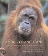 Among Orangutans