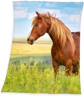 Horse - Plaid - Polyester - 130x160 cm - Multi kleur