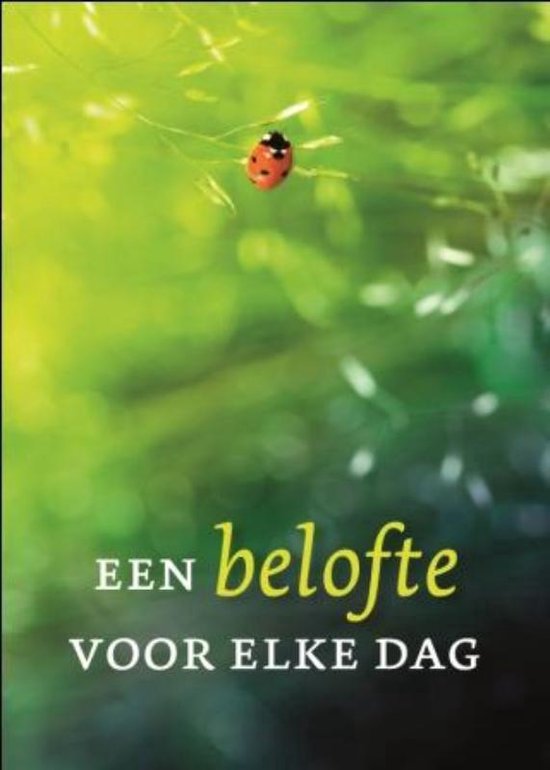 Foto: Een belofte voor elke dag