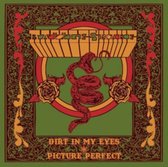 Dirt in My Eyes/Picture Perfect
