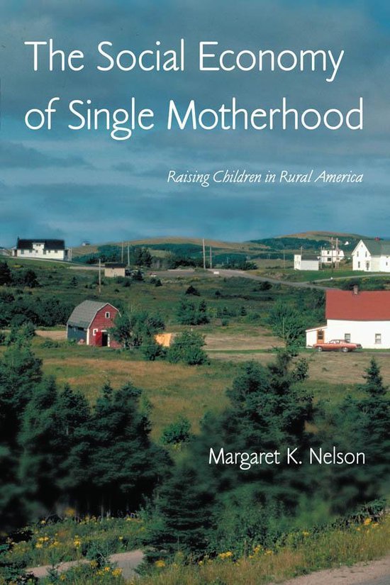 The Social Economy of Single Motherhood - cover